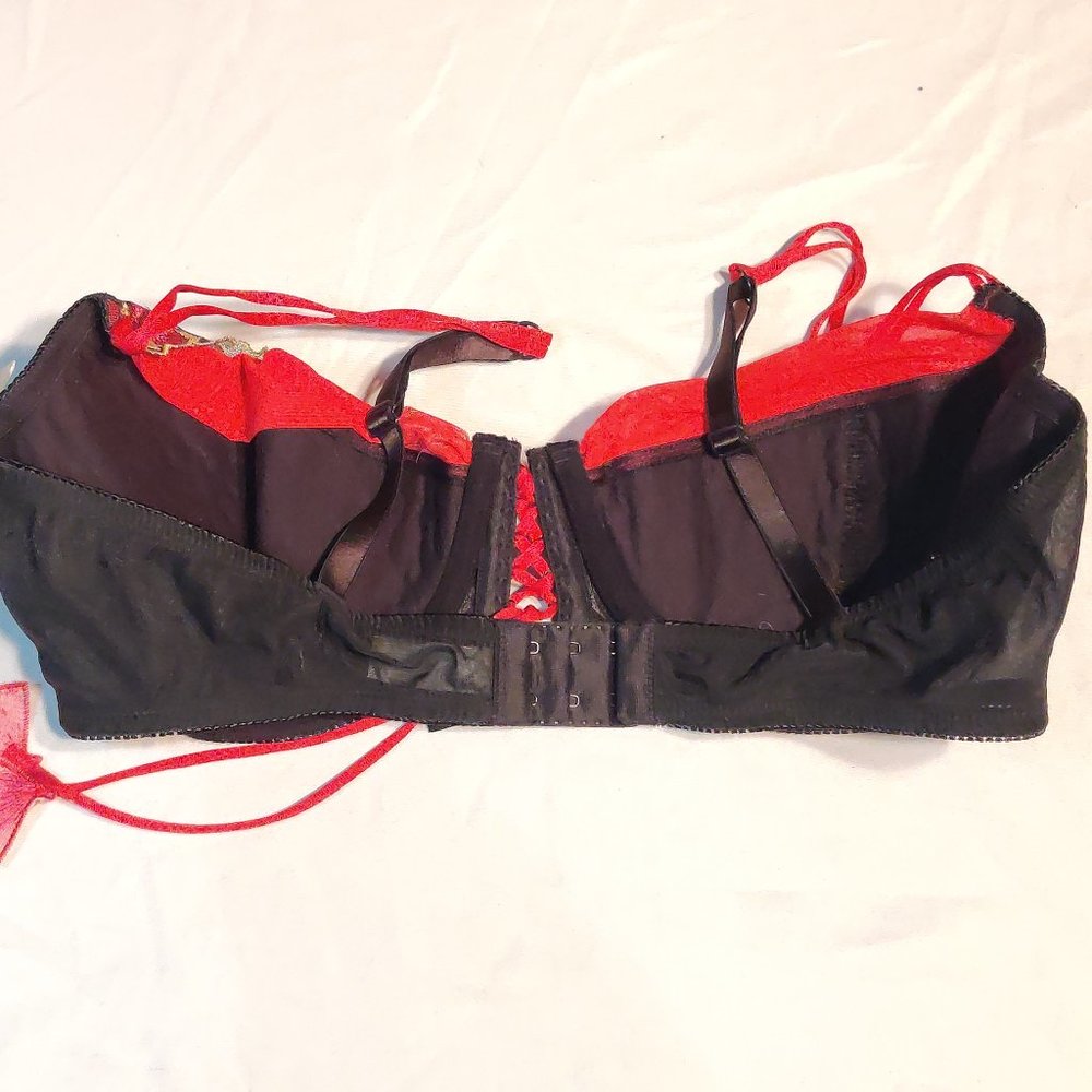 Cassandra Intimate Embroidered Bra 38D - Picture 8 of 9